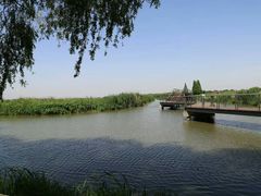-大莲湖农家乐(青西郊野公园店)