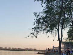 -丁香湖公园