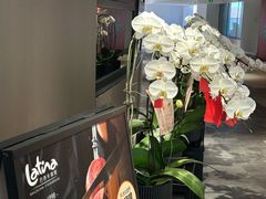 -拉蒂娜·巴西牛排馆 Latina·Brazilian Steakhouse(王府井喜悦店)