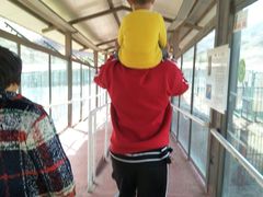 -新疆天山野生动物园