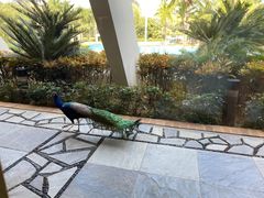 -东莞御景湾湖畔酒店·莱奥咖啡厅