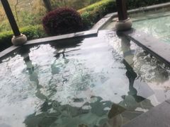 -天目湖涵田半山温泉