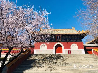 疫情期间在家实在是憋不住了，算了好几天才盼到六日