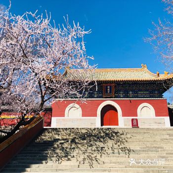 疫情期间在家实在是憋不住了，算了好几天才盼到六日