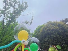 -铁山坪森林公园