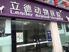 -立德动物医院·24小时中心(番禺区院区)