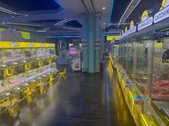 -天空之城·明日世界(南亚店)