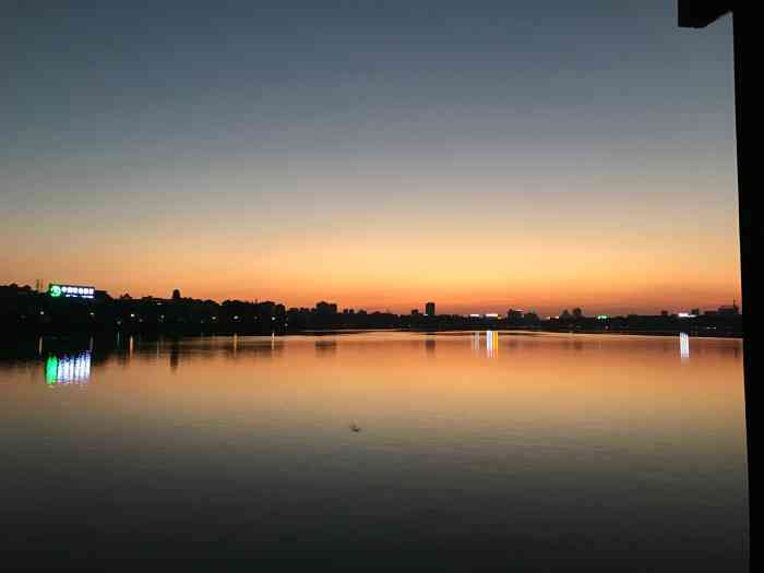 九江南门湖的白鹭太让."-大众点评移动版