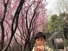 -洨河生态公园