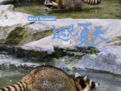 -上海野生动物园