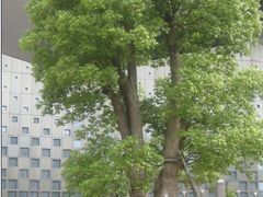 未命名-东浩兰生上海世博展览馆