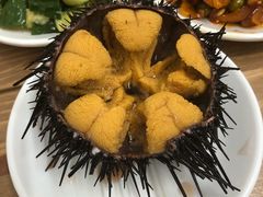 -海胆小馆(东北水饺·春柳店)