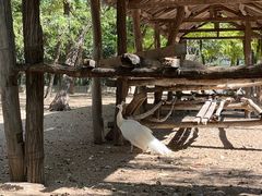 -秦皇岛野生动物园
