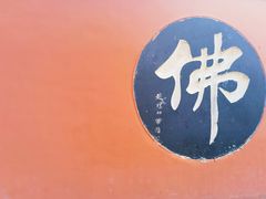 -百脉泉景区