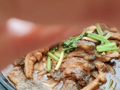 -老板恋上鱼(恒隆广场店)