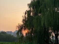 -WhaleSports户外水上运动俱乐部(朝阳公园店)