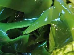 -老墙根涮肉·铜锅·烧烤(欢乐谷·王四营店)