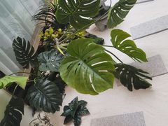 -星河湾温泉洗浴酒店