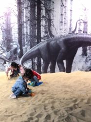 -恐龙探索乐园(磁器口店)