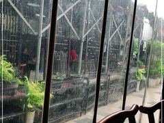 -先机泉水鸡汤(南山老君洞店)