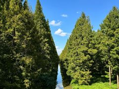 -黄海国家森林公园