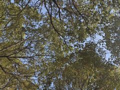 -钟山体育运动公园
