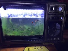 -84那年咖啡馆(李沧万达店)