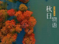 -池杉湖湿地公园