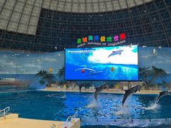 -泉城欧乐堡海洋极地世界