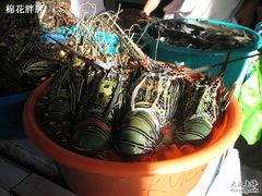 IMG_0717-D'Talipapa