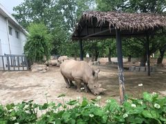 -西安秦岭野生动物园