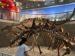 -国家自然博物馆