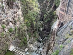 -王莽岭风景区
