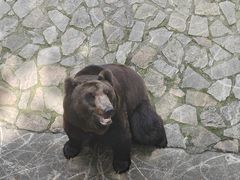 -上海野生动物园