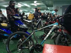 -丹东路渡口(轮渡站)