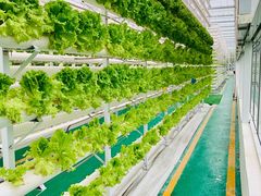 -兰陵国家农业公园