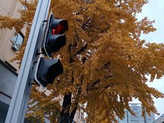 -牛班音乐学校(晶融汇购物中心店)