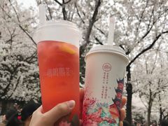 -鸡鸣赐茶(鸡鸣寺路店)