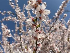 -渭河城市绿地运动公园