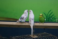 -未来动物城主题公园(正弘城店)