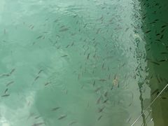 -水濂山森林公园