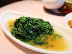 清炒金花菜-天福苑(崇宁路店)