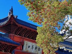 -绍兴鲁迅故里·沈园景区