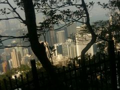 -香港皇家太平洋酒店