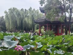 -莲池书院博物馆