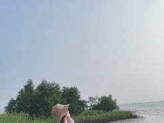 -芒洲湿地公园