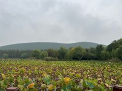 -云龙湖旅游景区