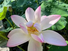 -上海交通大学(闵行校区)