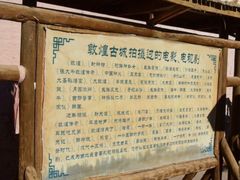 -敦煌古城