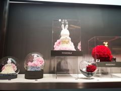 -ROSEONLY诺誓(广州K11店)